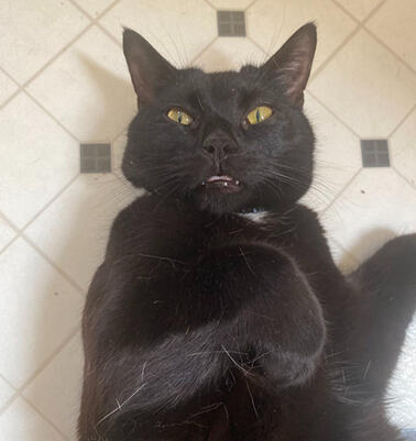 tuff: quality inspection